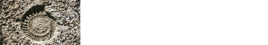 Educational Rocks and Fossils